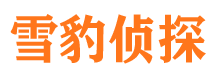 长清寻人公司